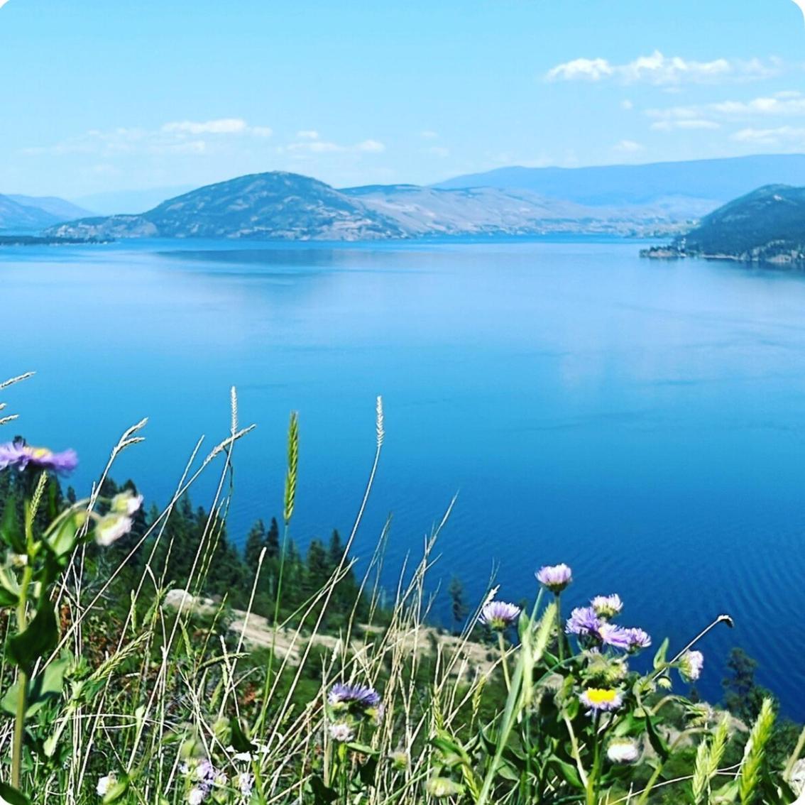 Jasmine Cottage Kelowna Bagian luar foto