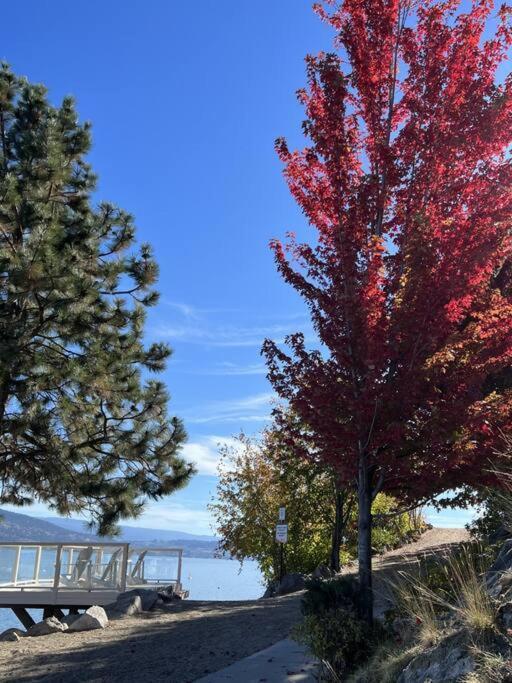 Jasmine Cottage Kelowna Bagian luar foto